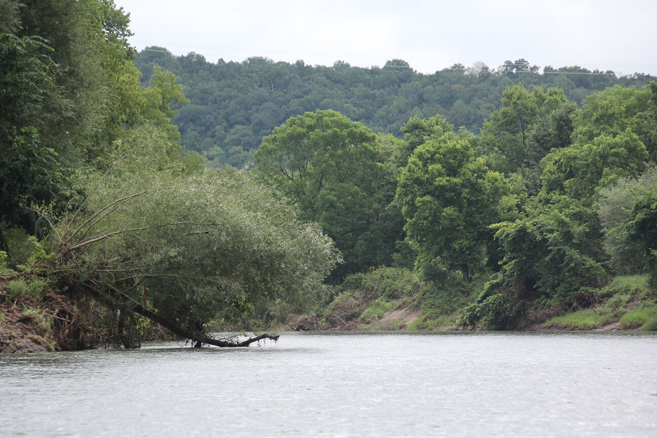 Zumbro River.JPG